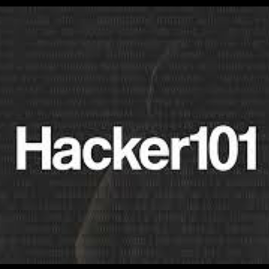 learn how to hack for beginners free app