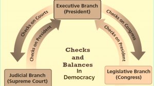 What are the features of democracy? 