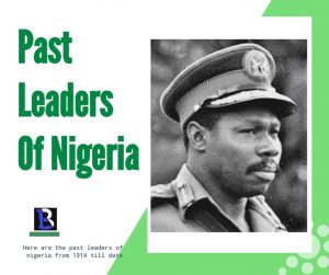 Olusegun Obasanjo past leader of Nigeria