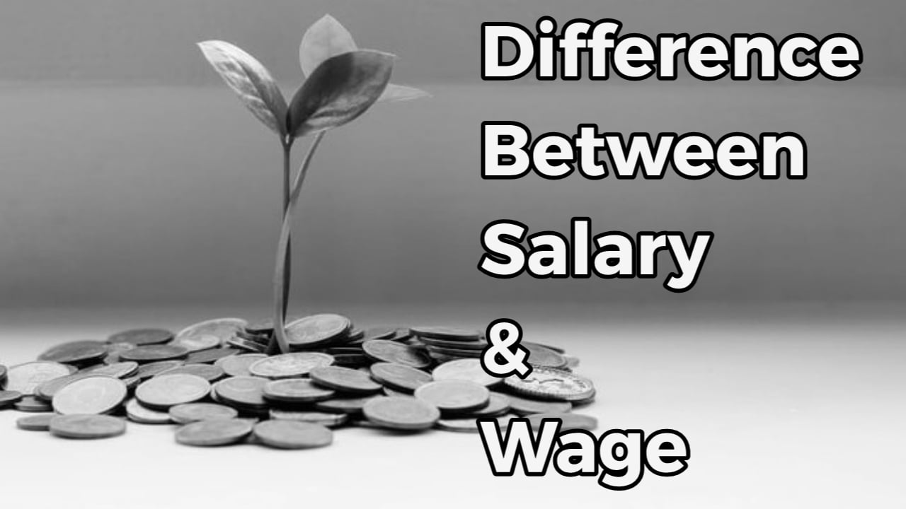 Meaning and Difference Between Salary and Wage