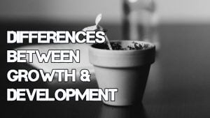 Meaning and differences between growth and development