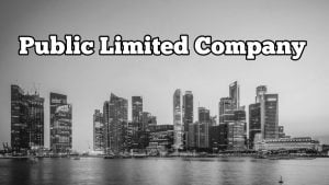 meaning and Differences Between private and public limited company