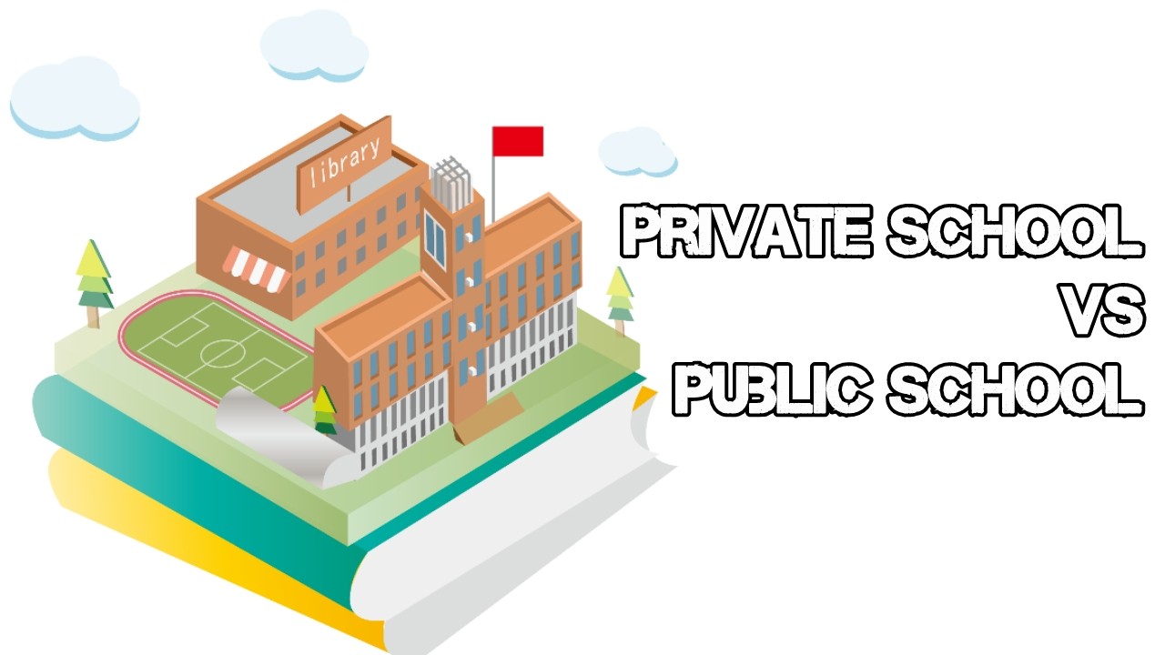 Государственные и частные школы, что лучше?  См. плюсы и минусы