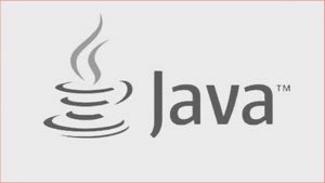 What is Java programming language used for? 