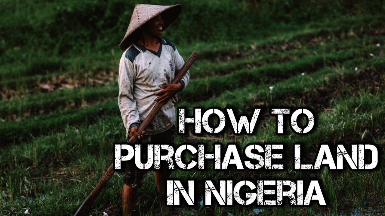 How to Buy Land in Nigeria (Documents Needed)