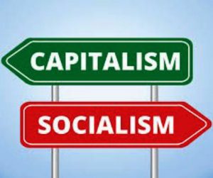 What is the difference between capitalism and socialism? 