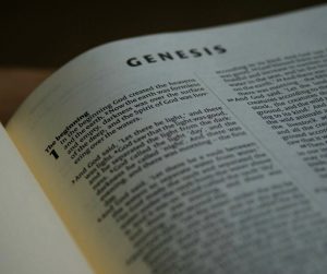 Differences between the two Biblical accounts of creation