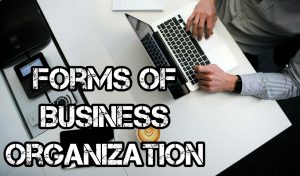 Partnership form of business organization