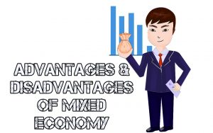 What are some disadvantages of a mixed economy