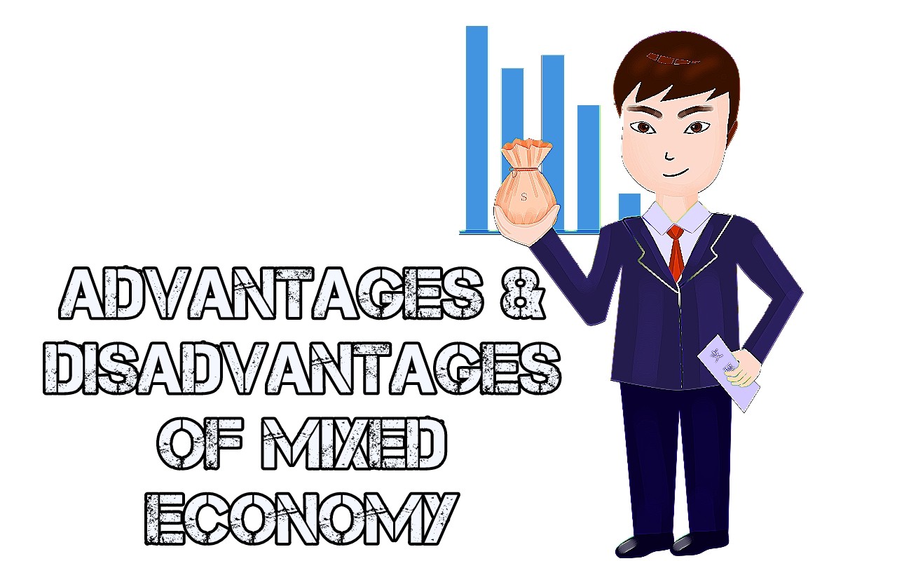 disadvantages of mixed economic system