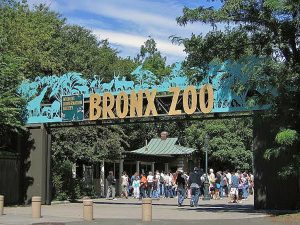 Best & Biggest Zoos in the World