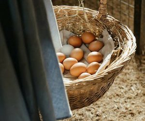 How much does it cost to start up a poultry farm in Nigeria
