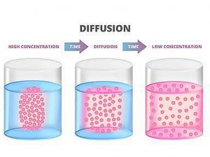 Similarities and Differences Between Osmosis and Diffusion