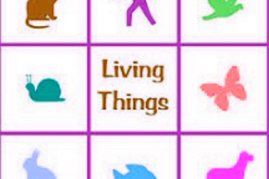 What are Living Things and Non-Living Things