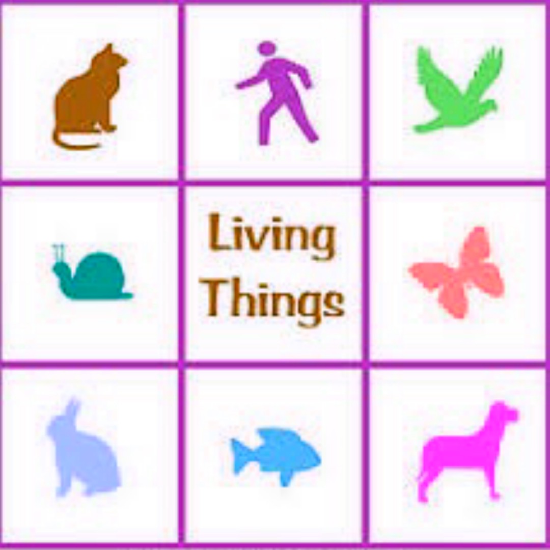 9 Differences Between Living and Non-Living Things - Bscholarly