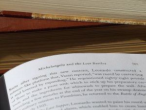 What are the component features of prose?