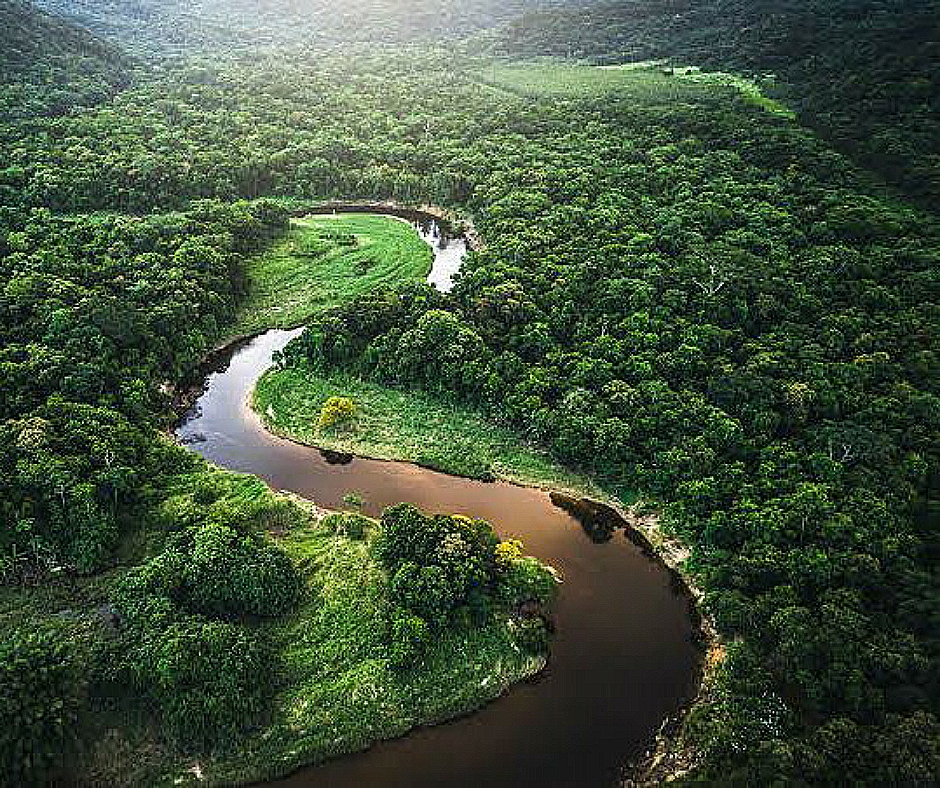 most-dangerous-forests-in-the-world-with-pictures-top-12-bscholarly