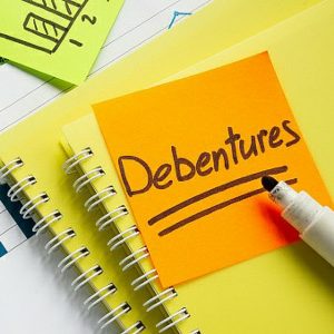 What is the difference between debentures and shares and bonds