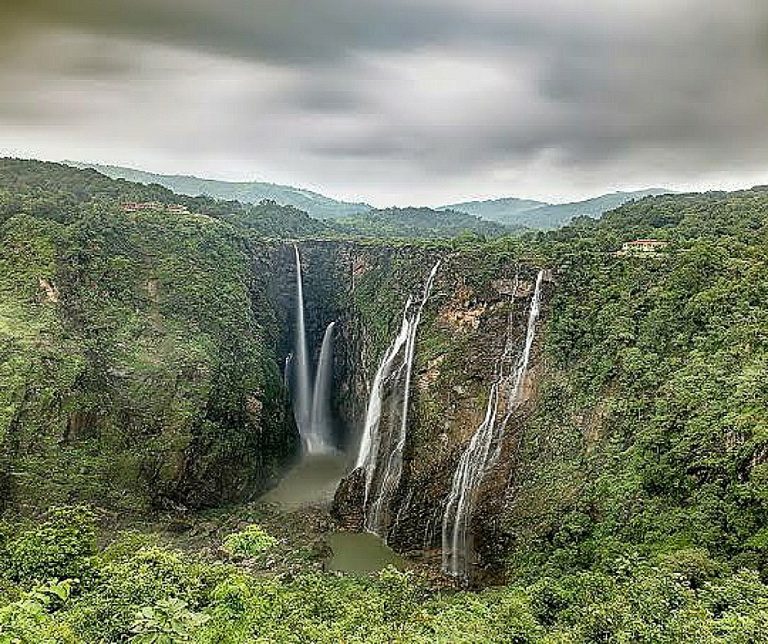 Most Dangerous Forests in The World (With Pictures): Top 12 - Bscholarly