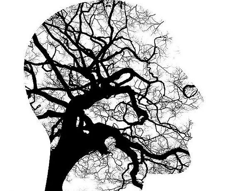 relationship-between-sociology-and-psychology-bscholarly