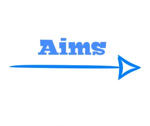 Difference between aims and objectives