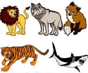 Differentiate between herbivores, carnivores, and omnivores
