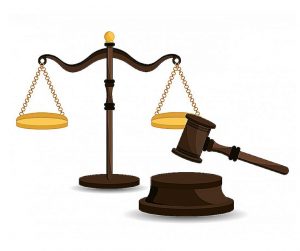 What is the difference between common law and statute law?