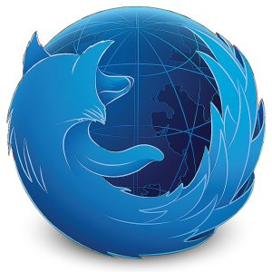 What browser do most developers use?