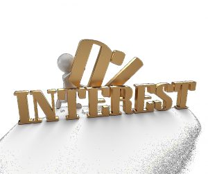 What is the difference between profit and interest? 