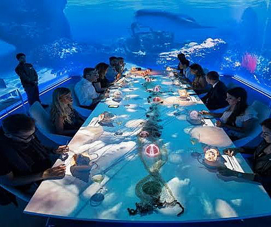 Most Expensive Restaurants In The World 2024 With Pictures Top 14