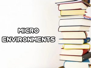 Difference between macro and micro environment in marketing