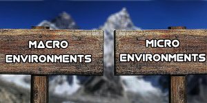 What is the Difference Between a Micro and Macro Environment?