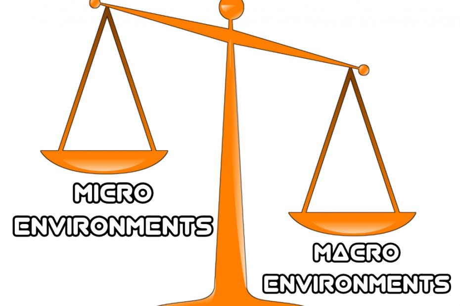 Microenvironment vs. Macroenvironment