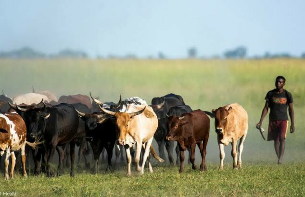 Read more about the article Oldest Professions in The World (With Pictures): Top 10