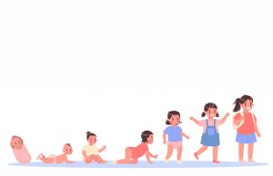 Stages of life by age