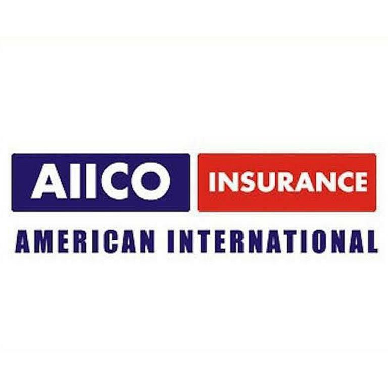 best-insurance-companies-in-nigeria-2024-top-10-most-popular