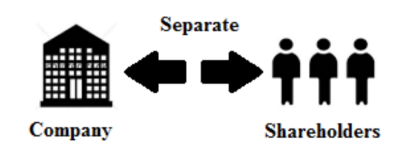 7-exceptions-to-the-principle-of-separate-legal-personality