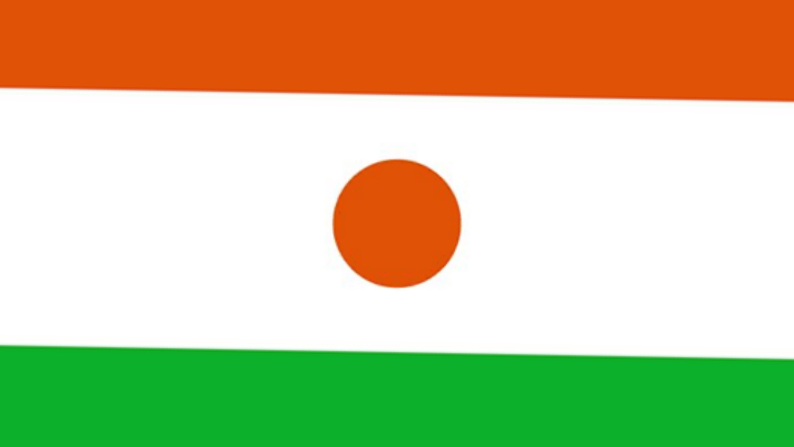 Оранжевая страна 3. The Republic of Niger Flag.