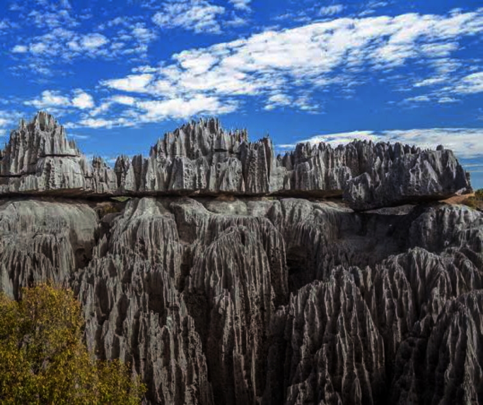 Most Dangerous Forests In The World With Pictures Top 12 Bscholarly 3631